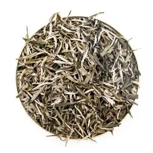 Pine Needles White