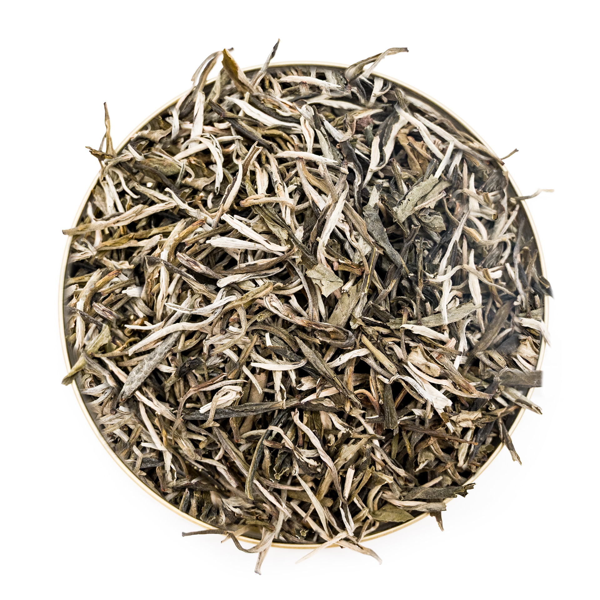Pine Needles White