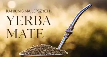 Ranking najlepszych yerba mate – którą wybrać w 2026 roku?