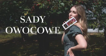 Co to znaczy dojrzewać – owoc, herbata i my